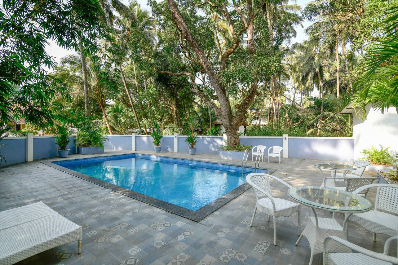 Cozy 1BHK Apartment - Calangute - Close to Beach - 4