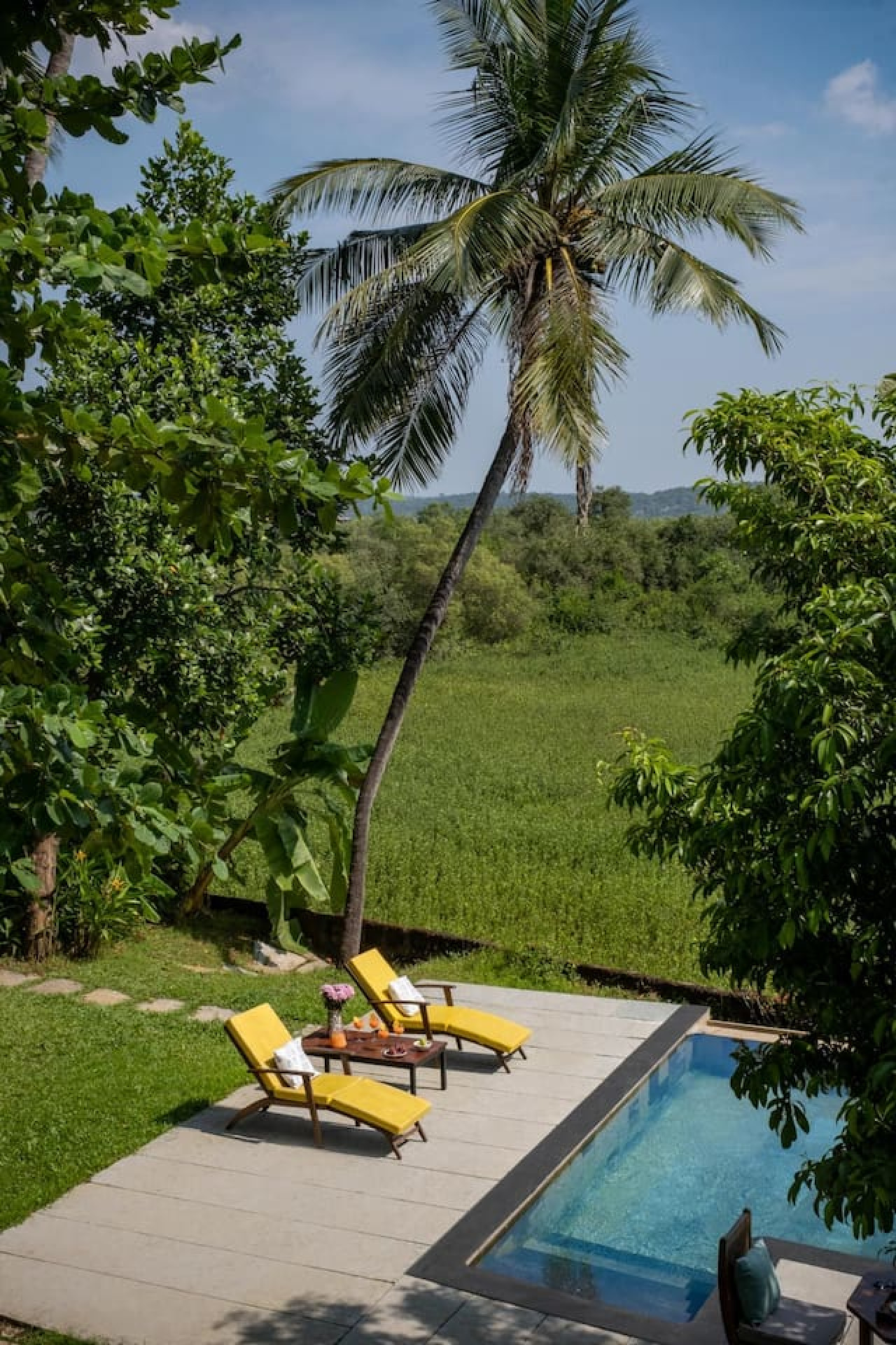 Frangipani By The River - 57