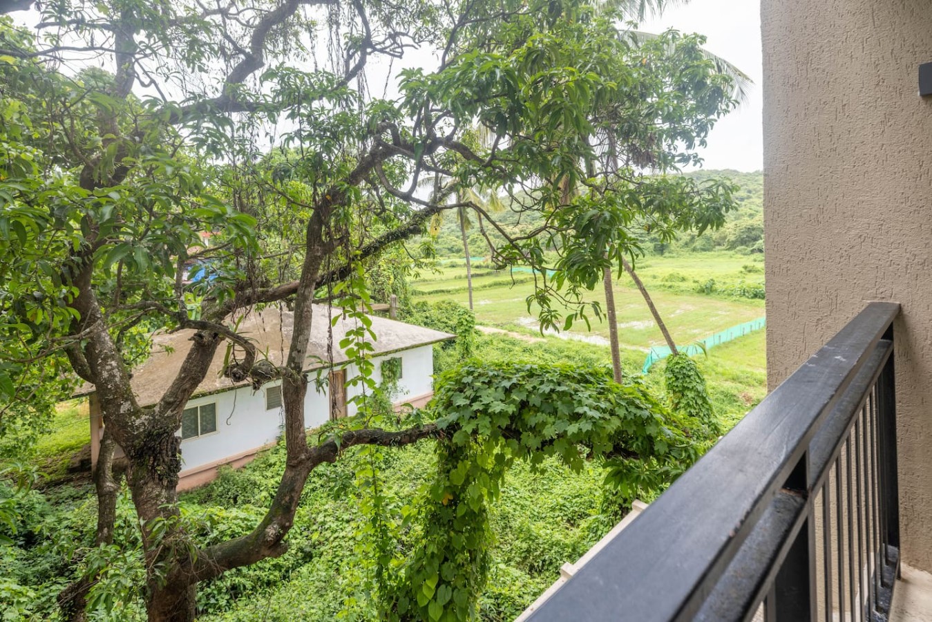 2BHK with Pool nr Candolim Beach | Palms By Umiya - 11
