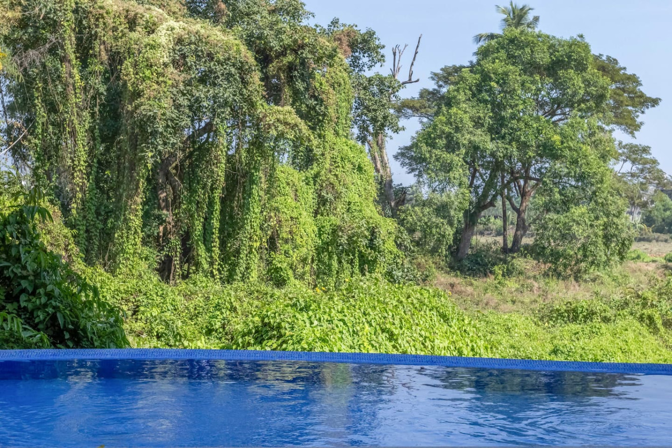 Cozy 1BR in Candolim - Walking distance to Beach - 45