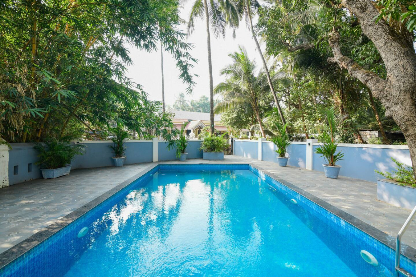 Cozy 1BHK Apartment - Calangute - Close to Beach - 33