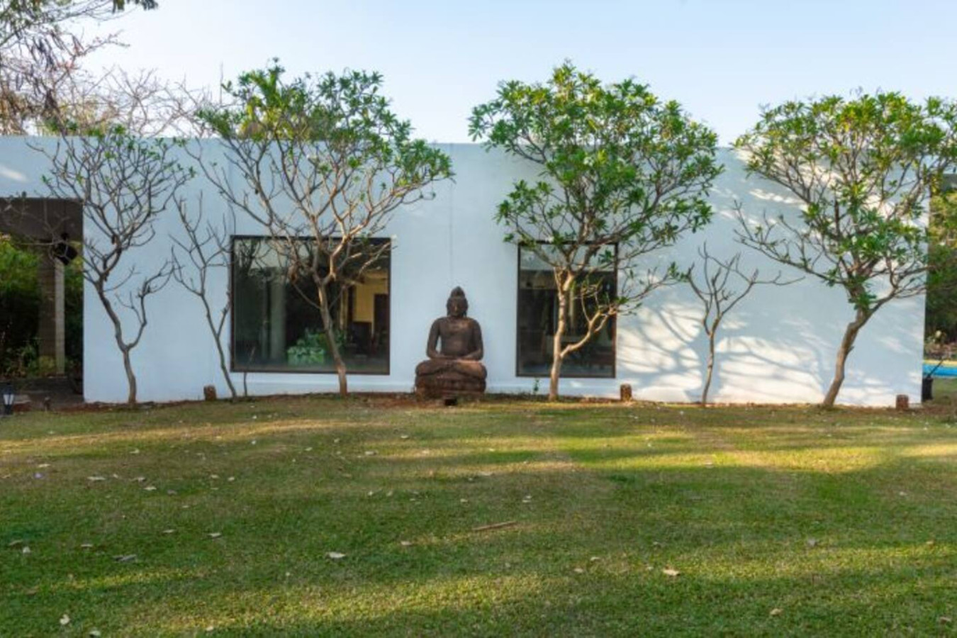 Frangipani - 96