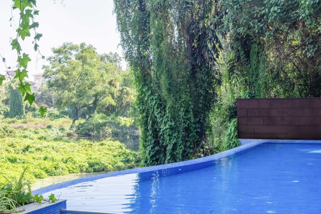 Cozy 1BR in Candolim - Walking distance to Beach - 8
