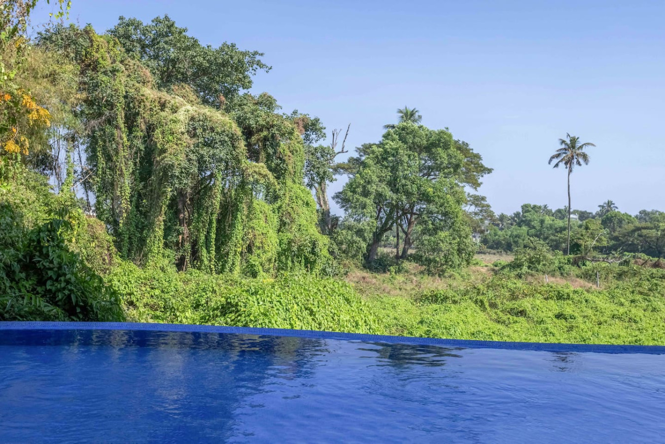 Cozy 1BR in Candolim - Walking distance to Beach - 32