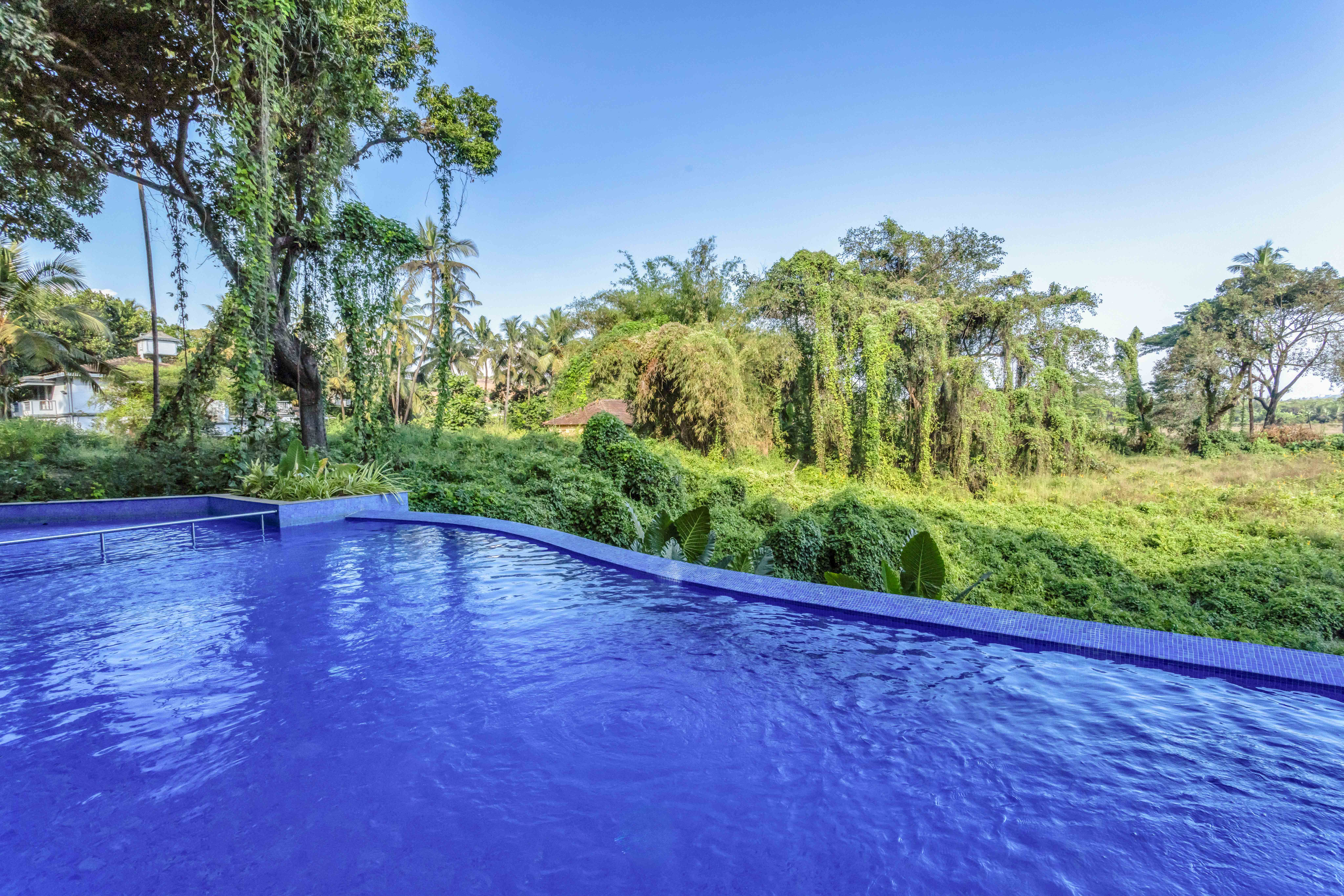 Serene 2BHK with Pool | 5 mins to Candolim Beach - 83