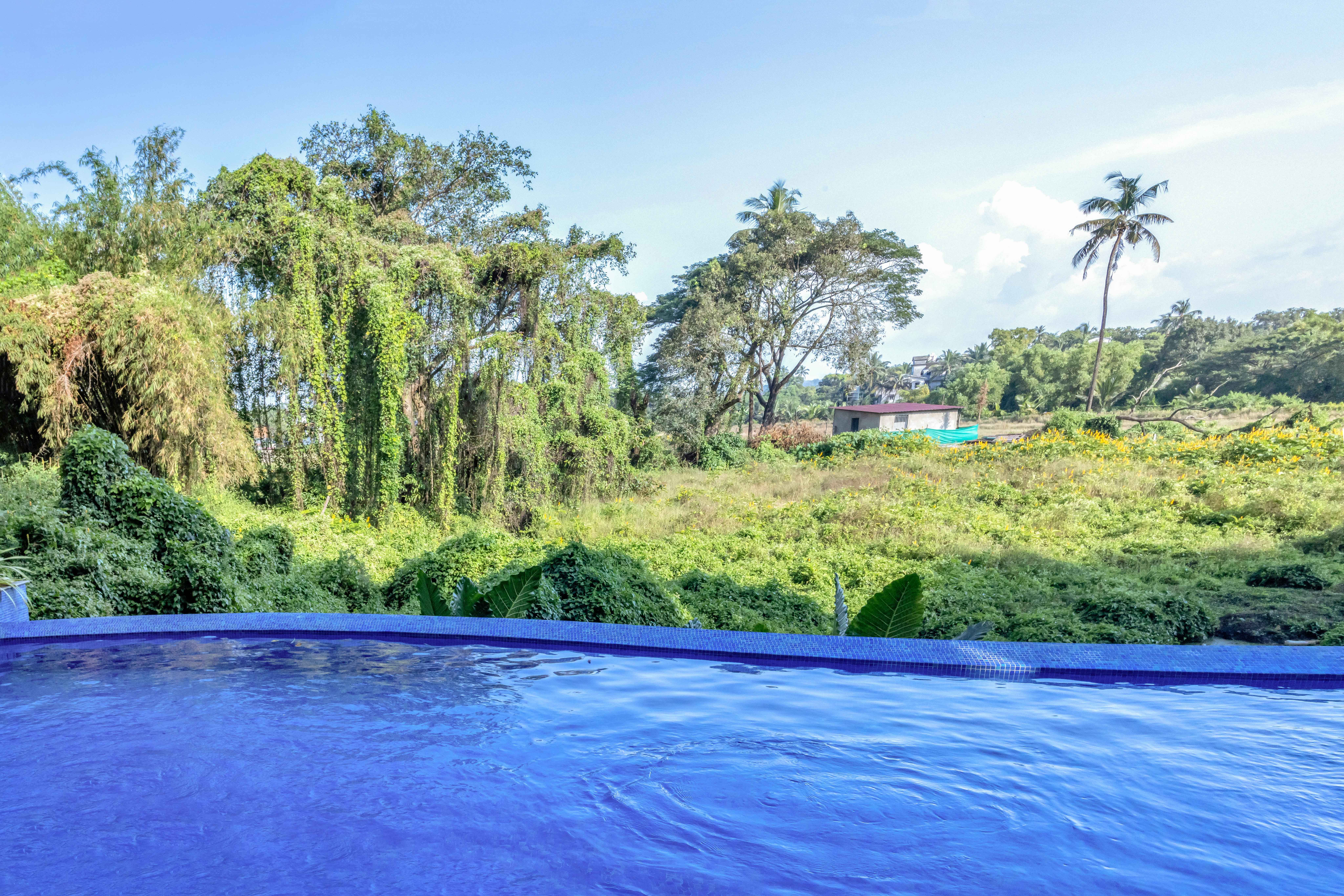 Serene 2BHK with Pool | 5 mins to Candolim Beach - 80