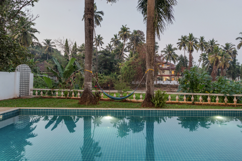 Casa Palms - 53