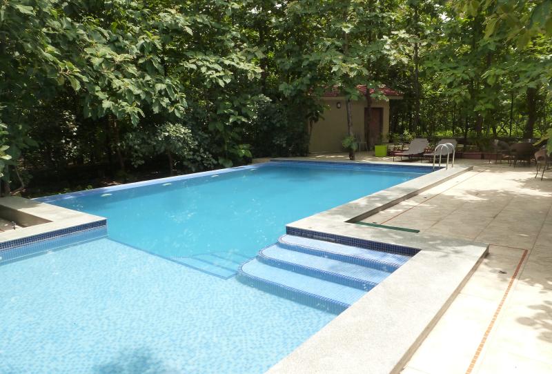 Tigress Villa - 10