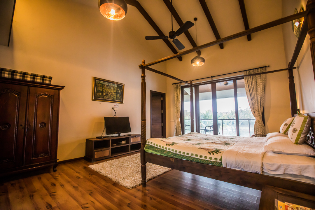 Frangipani - 23