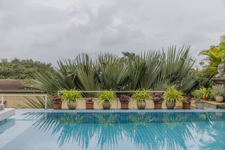 Villa Avior - 11